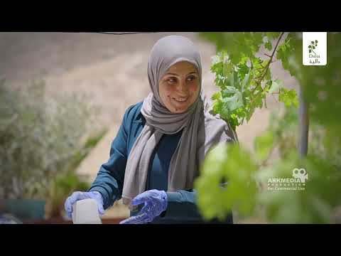 Asmaa Zaidat turned her ancestors’ legacy into a venture with the taste of Palestine. project cover