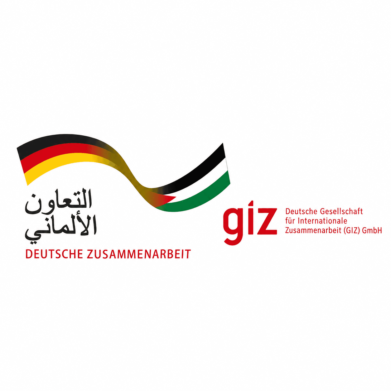 GIZ logo